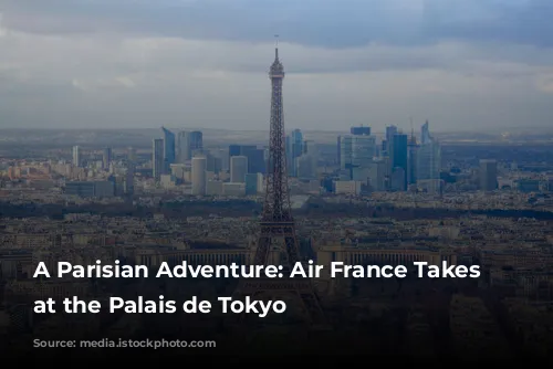 A Parisian Adventure: Air France Takes Flight at the Palais de Tokyo