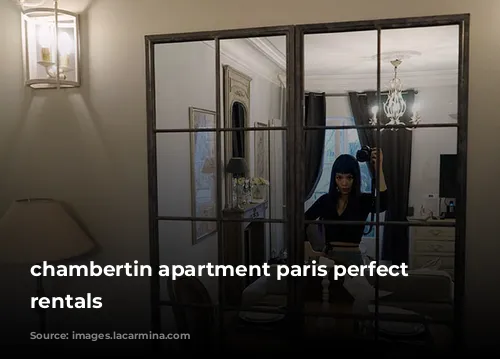 chambertin apartment paris perfect vacation rentals