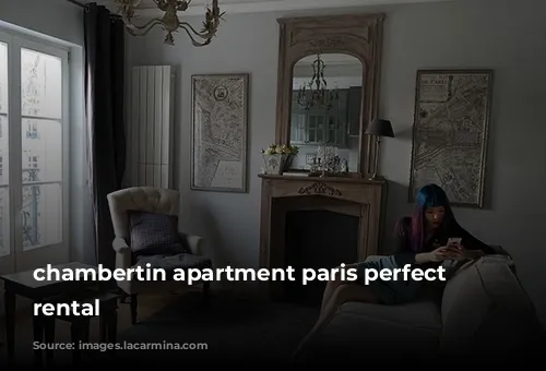 chambertin apartment paris perfect flat rental