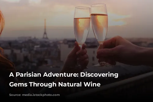 A Parisian Adventure: Discovering Hidden Gems Through Natural Wine