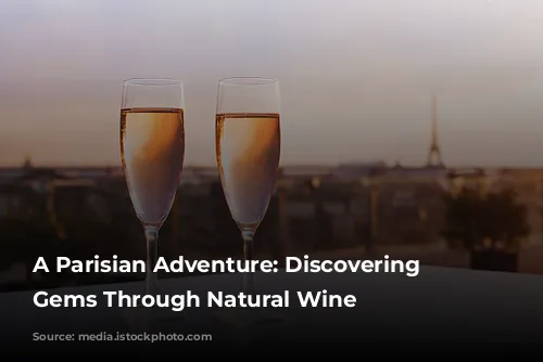 A Parisian Adventure: Discovering Hidden Gems Through Natural Wine