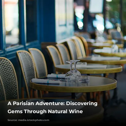 A Parisian Adventure: Discovering Hidden Gems Through Natural Wine