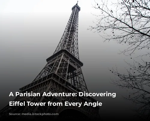 A Parisian Adventure: Discovering the Eiffel Tower from Every Angle