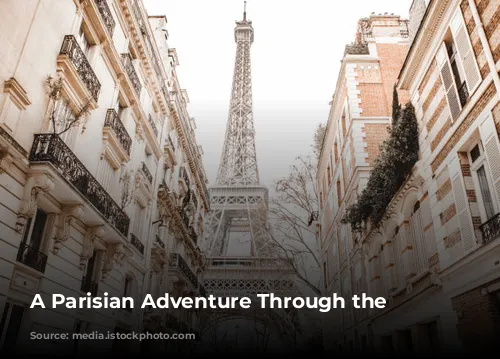 A Parisian Adventure Through the Seasons