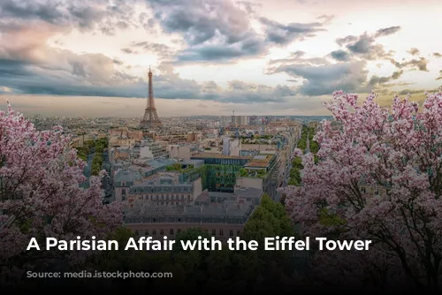 A Parisian Affair with the Eiffel Tower