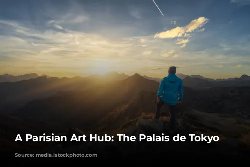 A Parisian Art Hub: The Palais de Tokyo