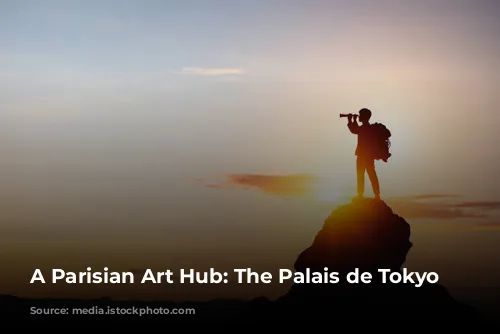 A Parisian Art Hub: The Palais de Tokyo