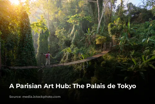 A Parisian Art Hub: The Palais de Tokyo