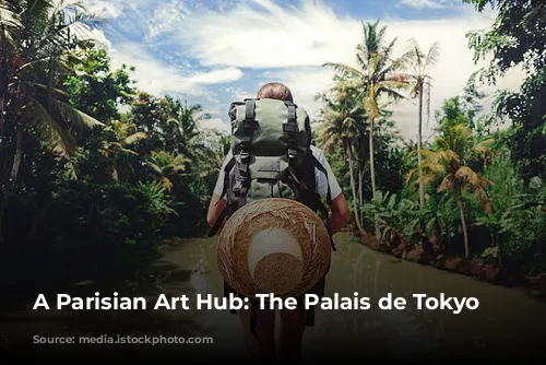 A Parisian Art Hub: The Palais de Tokyo