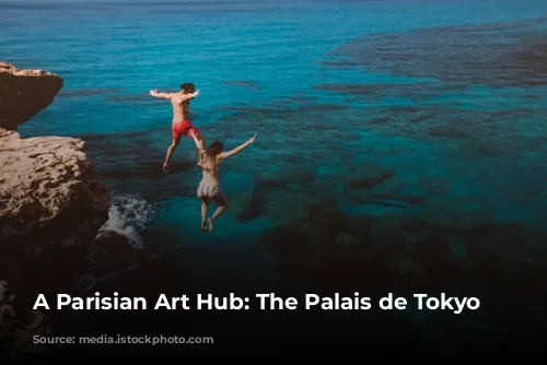 A Parisian Art Hub: The Palais de Tokyo