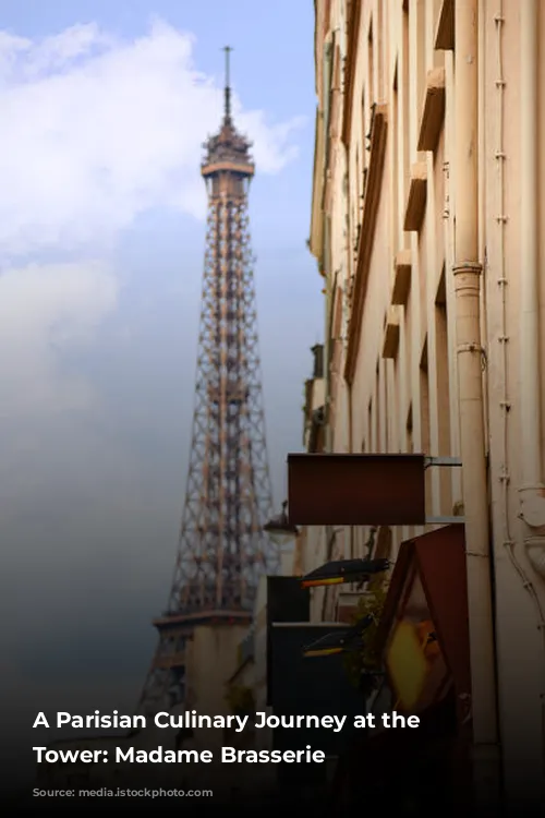 A Parisian Culinary Journey at the Eiffel Tower: Madame Brasserie