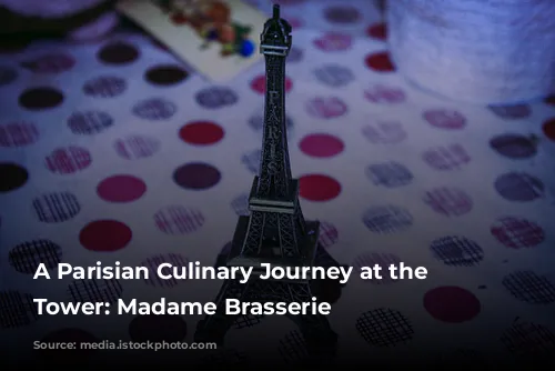 A Parisian Culinary Journey at the Eiffel Tower: Madame Brasserie