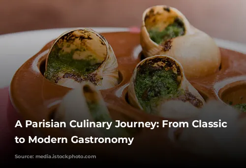 A Parisian Culinary Journey: From Classic Bistros to Modern Gastronomy