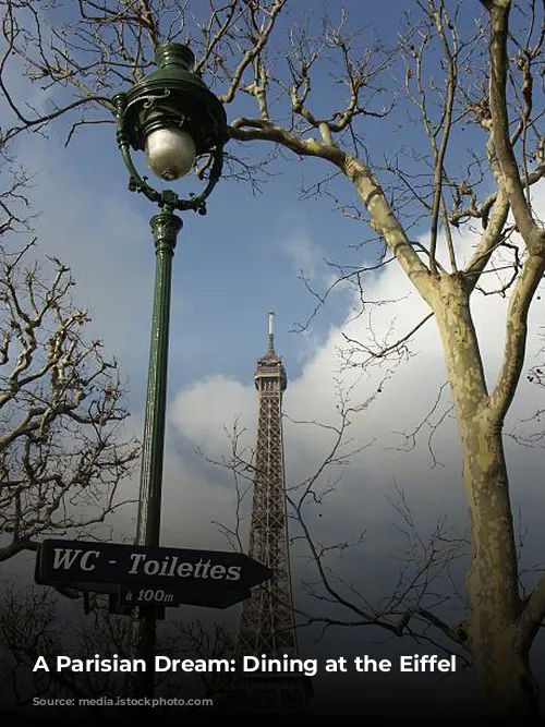 A Parisian Dream: Dining at the Eiffel Tower