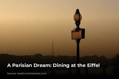 A Parisian Dream: Dining at the Eiffel Tower