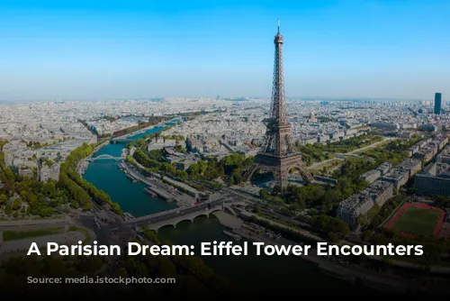 A Parisian Dream: Eiffel Tower Encounters