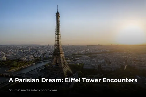 A Parisian Dream: Eiffel Tower Encounters