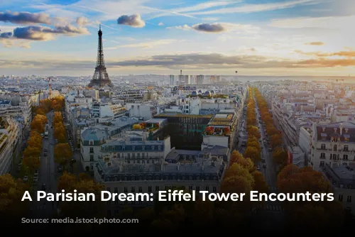 A Parisian Dream: Eiffel Tower Encounters