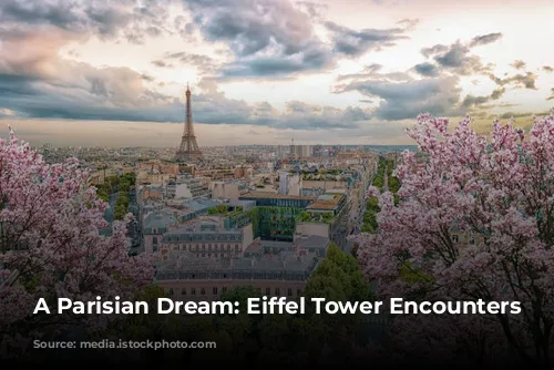 A Parisian Dream: Eiffel Tower Encounters