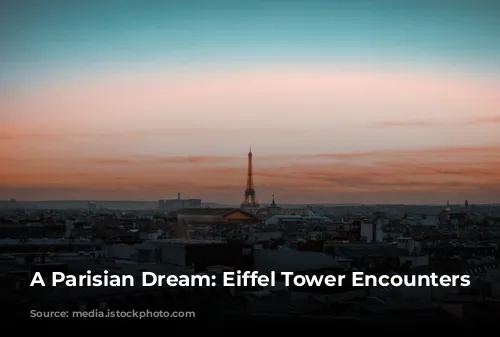 A Parisian Dream: Eiffel Tower Encounters