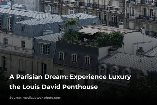 A Parisian Dream: Experience Luxury in the Louis David Penthouse