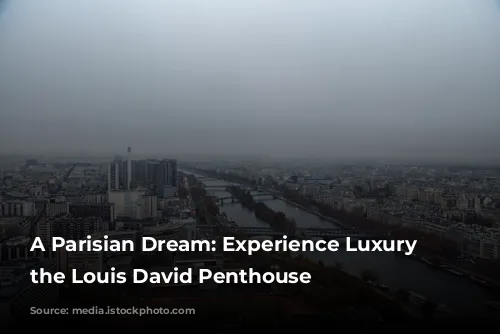 A Parisian Dream: Experience Luxury in the Louis David Penthouse