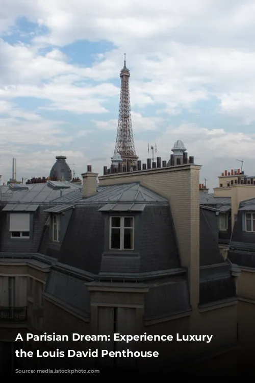 A Parisian Dream: Experience Luxury in the Louis David Penthouse