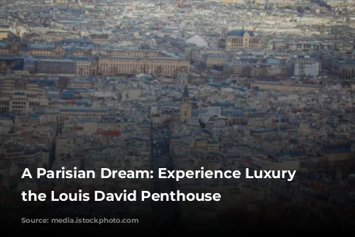 A Parisian Dream: Experience Luxury in the Louis David Penthouse