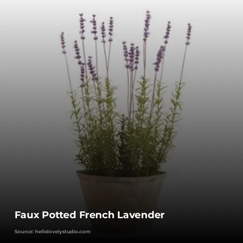 Faux Potted French Lavender