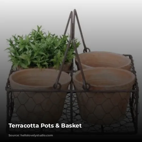 Terracotta Pots & Basket