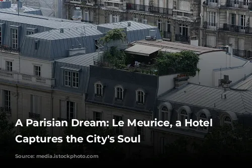 A Parisian Dream: Le Meurice, a Hotel That Captures the City's Soul