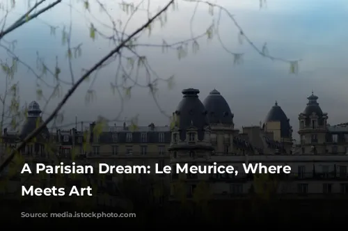 A Parisian Dream: Le Meurice, Where Opulence Meets Art