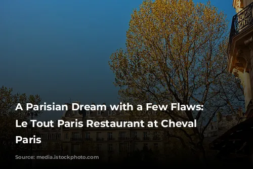 A Parisian Dream with a Few Flaws: Reviewing Le Tout Paris Restaurant at Cheval Blanc Paris