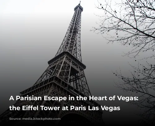 A Parisian Escape in the Heart of Vegas: Exploring the Eiffel Tower at Paris Las Vegas