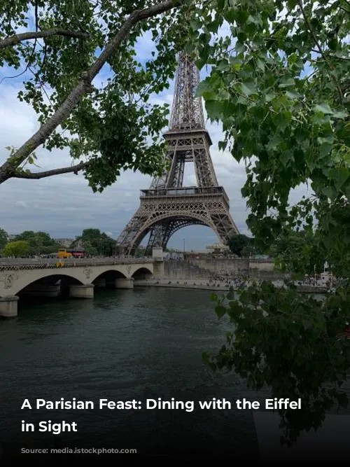 A Parisian Feast: Dining with the Eiffel Tower in Sight