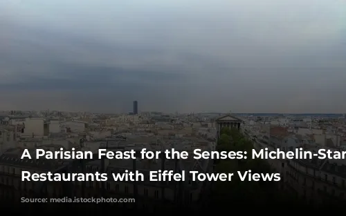 A Parisian Feast for the Senses: Michelin-Star Worthy Restaurants with Eiffel Tower Views