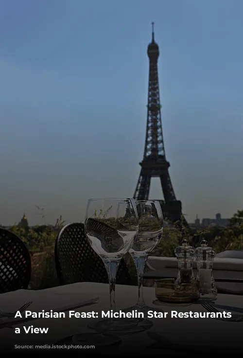 A Parisian Feast: Michelin Star Restaurants with a View