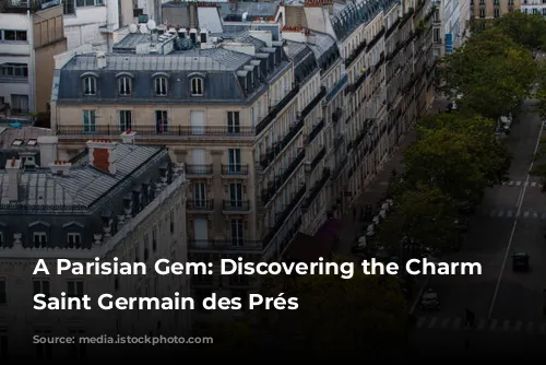 A Parisian Gem: Discovering the Charm of Saint Germain des Prés