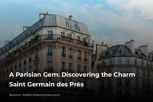 A Parisian Gem: Discovering the Charm of Saint Germain des Prés