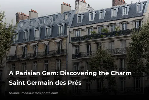 A Parisian Gem: Discovering the Charm of Saint Germain des Prés