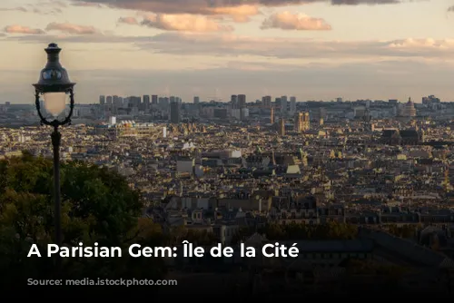 A Parisian Gem: Île de la Cité