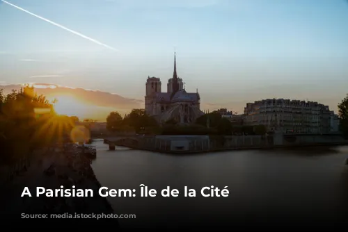 A Parisian Gem: Île de la Cité