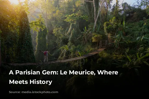 A Parisian Gem: Le Meurice, Where Luxury Meets History