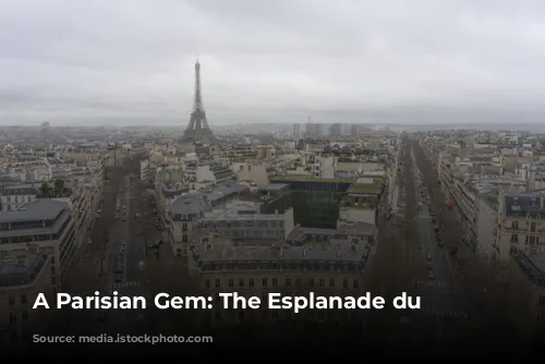 A Parisian Gem: The Esplanade du Trocadero