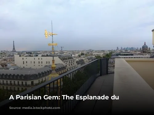 A Parisian Gem: The Esplanade du Trocadero