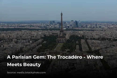 A Parisian Gem: The Trocadéro - Where History Meets Beauty