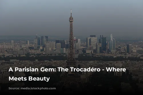 A Parisian Gem: The Trocadéro - Where History Meets Beauty