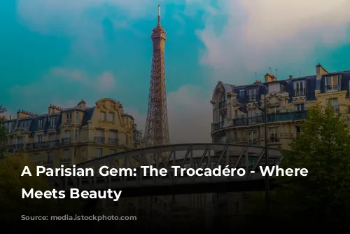 A Parisian Gem: The Trocadéro - Where History Meets Beauty