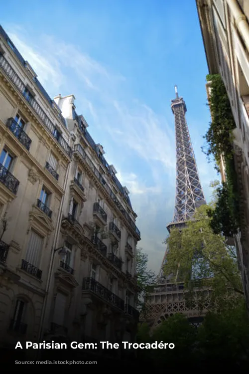 A Parisian Gem: The Trocadéro