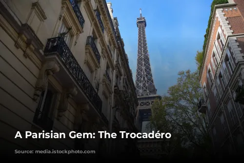 A Parisian Gem: The Trocadéro